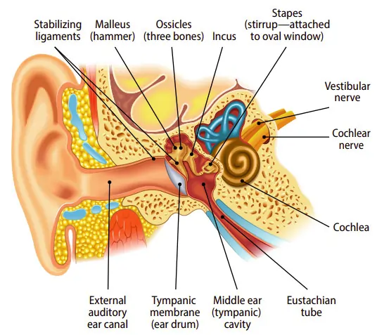 VertiAid for Balance